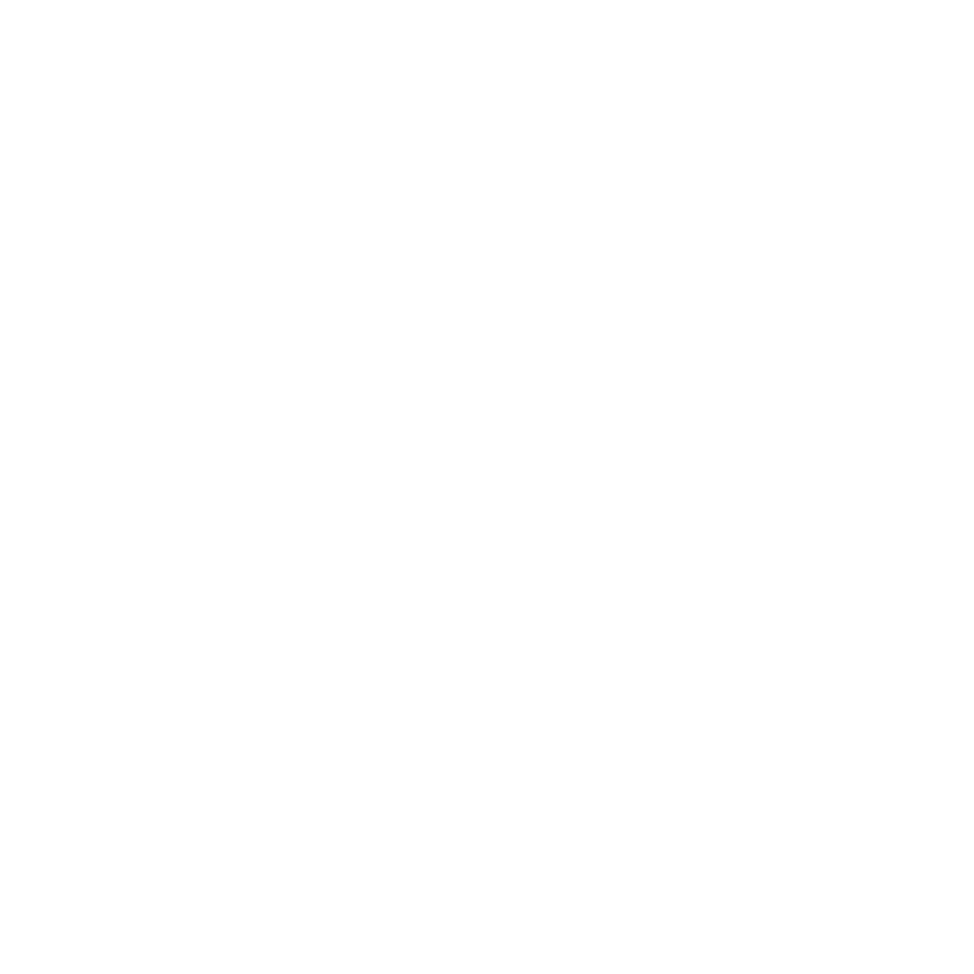 Festiwal Wizji